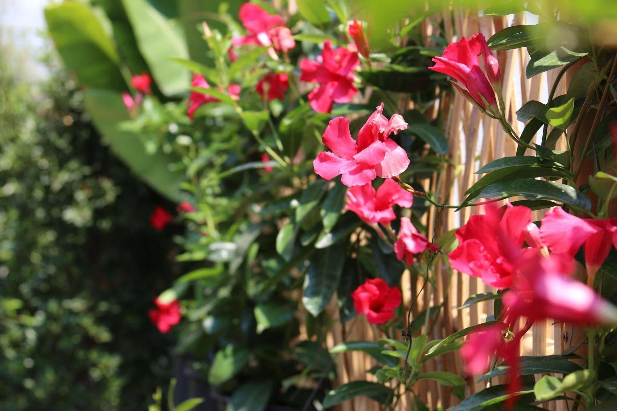 Joyful Thai Boutique Hotel Chiang Mai Esterno foto